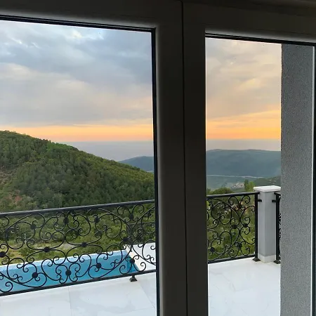 Villa Wolf Vila *